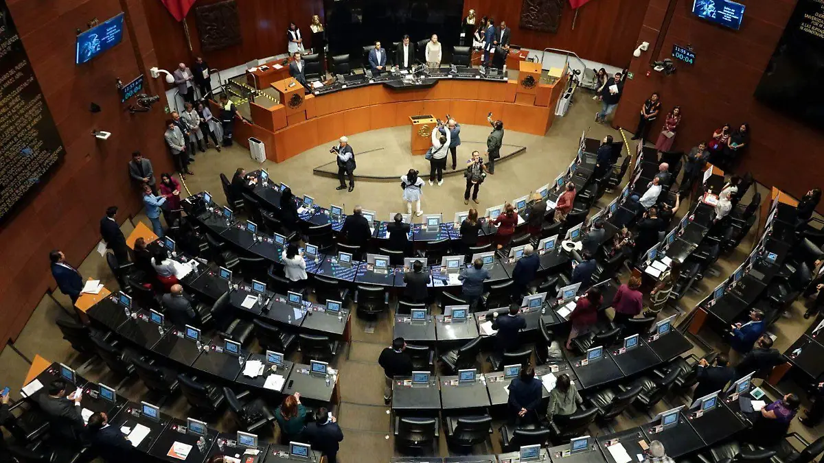 1003987_Sesión Cámara de Diputados-5_web